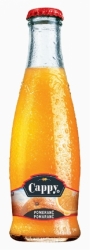 Cappy Pomeranč 60% 0,2L
