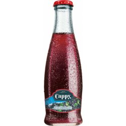 Cappy Černý Rybíz 25% 0,2L